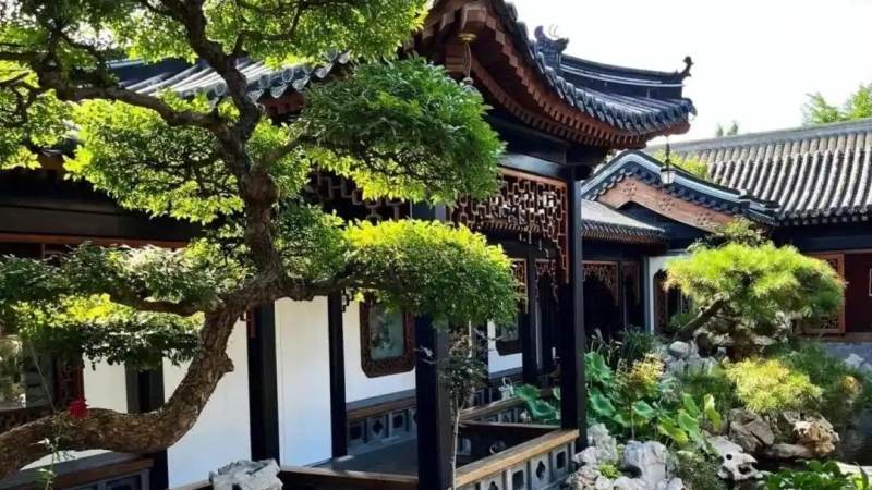 全球总决赛门票购买全攻略:官方渠道与防骗要点